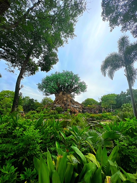 ANIMAL KINGDOM PRIVATE TOUR Orlando - vacaystore.com